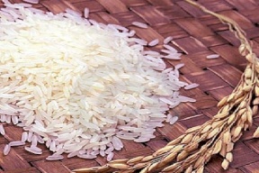 خبراء يحذرون من أخطاء خطيرة في طهي الأرز وحفظه