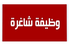 مسؤول: وظائف للغزيين في قطر