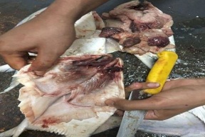 نيابة الكويت تحقق في قضية وجود "مسامير" داخل الأسماك