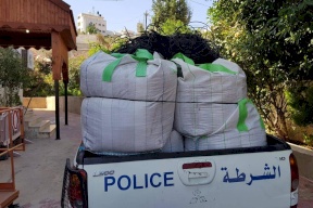 صور/ ضبط مشتل ضخم لزراعه المخدرات