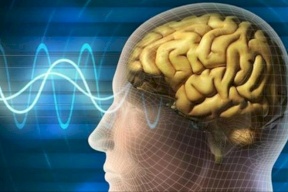 المجالات الكهرومغناطيسية تؤذي الذاكرة