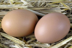 ماذا يحدث إذا تناول الإنسان البيض يوميا؟