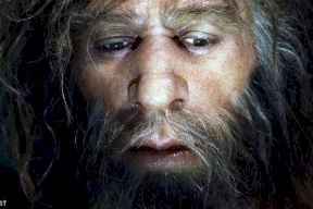 العلم يكشف لماذا انقرض "الإنسان المنتصب"؟