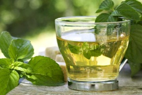 فوائد شرب النعناع كثيرة