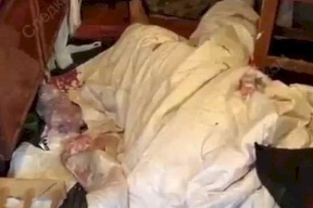 أكل لحوم البشر يظهر في روسيا بـ"أبشع جريمة ممكنة"