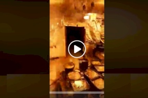 فيديو.. معلومات جديدة عن مشتل المارغوانا برام الله