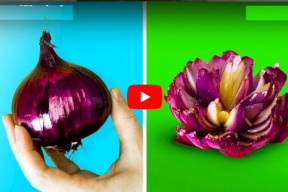 شاهد.. أفكار سهلة لتزيين الطعام