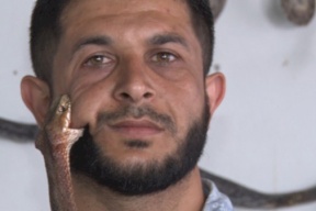 فيديو : بعد تحدي كيكي .. مربي أفاعى بغزة يبتدع تحدي "عضة الأفعى"