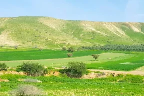 الاحتلال يستولي على 356 دونما في الأغوار الشمالية