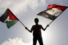 مصر تلغي زيارة للرئيس البرازيلي نصرة للفلسطينيين