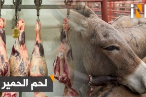 لحوم الحمير والكلاب هاجس يطارد هذا البلد العربي !