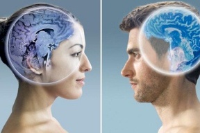 هل يختلف دماغ الرجل عن دماغ المرأة؟