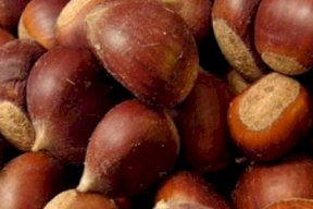 الكستناء.. 4 حبّات في اليوم تصنع العجائب
