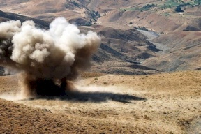 نفوق أربع أبقار بانفجار لغم في الأغوار الشمالية