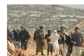 مستوطنون يهاجمون قرية اللبن