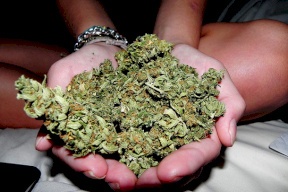 القبض على سيدة وزوجها وابنيها يبيعون المخدرات في نابلس