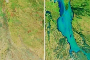 أمطار تقتل نصف مليون بقرة