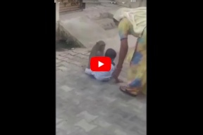 فيديو : قرد يستولي على رضيع !