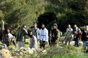 مستوطنون يطاردون رعاة الأغنام شرق يطا