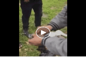 بالفيديو| القبض على مشعوذ متلبسا داخل مقبرة في الخليل