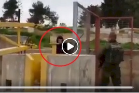 بالفيديو.. اعتقال فتاة بزعم حيازتها سكيناً في الخليل 