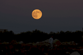 "القمر العملاق" في سماء فلسطين