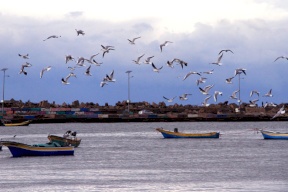 زوارق الاحتلال تستهدف مراكب الصيادين ببحر بيت لاهيا