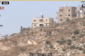 تحقيق استقصائي : "شريعة الغاب" تضرب الطابو!