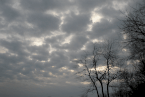 أجواء باردة وفرصة للأمطار