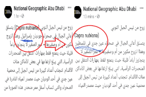 "ناشونال جيوغرافك" تتراجع عن منشورها وتكتب فلسطين