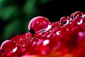 الأجواء الباردة تعود.. اليكم حالة الطقس حتى نهاية الاسبوع