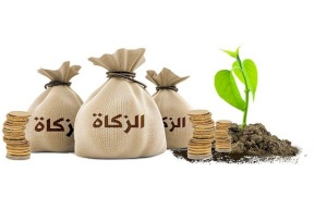 مجلس الافتاء يحدد مقدار صدقة الفطر
