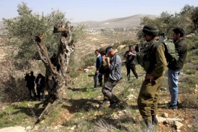 الاحتلال يخطر بطرد 15 عائلة من الأغوار الشمالية