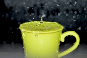 ما الذي ينقذ العالم من السمنة؟