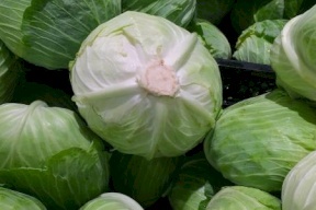 استخدام الملفوف لعلاج أعراض التهاب المفاصل