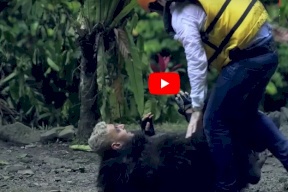 رد فعل وائل جسار بعد رؤية رامز جلال في مقلب رامز في الشلال