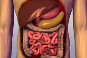 السرطان يتسلل إليك من المعدة!