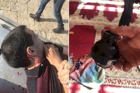 الهباش: الاحتلال الإسرائيلي يبحث عن دم في المسجد الأقصى