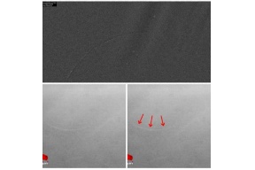 رسمياً: رؤية هلال شوال صباح اليوم الثلاثاء