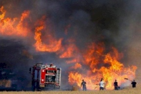 جنين.. النيران تلتهم 10 دونمات قمح