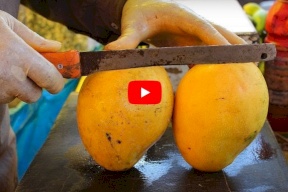 فيديو.. تحضير الفواكه للسياح في ماليزيا