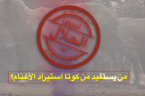 تحقيق استقصائي لوطن وأمان " تبيض الحلال " ، من يستفيد من كوتا استيراد الاغنام ؟