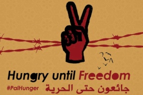 29 أسيرا يواصلون إضرابهم المفتوح عن الطعام