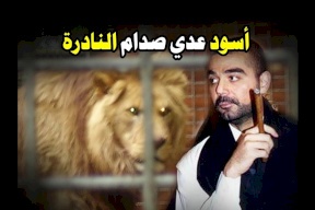 السلطات العراقية تنقل أسود ونمور عدي صدام حسين إلى أربيل