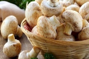 الفطر لعلاج الاكتئاب