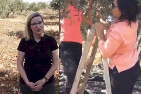 جمعية الصداقة الفلسطينية الكندية تشيد بموقف سفيرة كندا في فلسطين