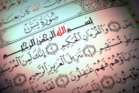 جامعة هارفارد: القرآن الكريم أفضل كتاب للعدالة
