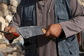 في مصر- قهوجي يقتل بائع فول لأنه ناده بغير اسمه!