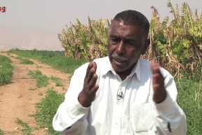 رئيس بلدية النويعمة والديوك الفوقا: ما يحدث في أراضي الدولة قمة في الفساد