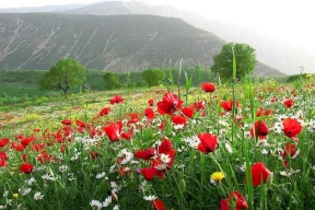 حالة الطقس: أجواء لطيفة في معظم المناطق